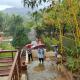 Sri Farm, Near Mulshi Dam, Pune, 浦那 - 照片 3