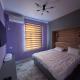 Registan view apartment, Samarkand (fotografie 8)
