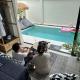 Villa Yu Pool Villa, Ban Muang Khom (foto 3)