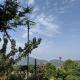 Hills view villa 3 BHK villa, Kasauli - Foto 7