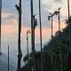 Tropical camping, Wayanad - Fotografie 4