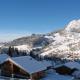 Studio 4 pers, sur pistes, terrasse 15m², Chinaillon - FR-1-458-212 Le Grand-Bornand - Zdjęcie 10