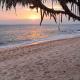 Coconut Tree hill Rekawa