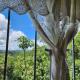 Homestay Camping Markham Meghalaya, Nongkynshi - Foto 4