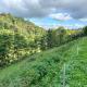 Gite à la Ferme, Arrodets-ez-Angles (Foto 4)
