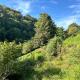 Gite à la Ferme, Arrodets-ez-Angles (Foto 6)