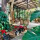 Sonseesaed Farm at Phurua, Phu Rua (foto 6)