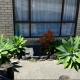 Auckland GQ Howick holiday home, Auckland - Foto 9