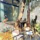 villa with perfect garden in XUHUI nearby art museum, Shanghai - Foto 1