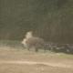 Black Bull Cottage, Viripara - Foto 4