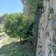 Tenuta di Venere, Portovenere (fotografie 9)