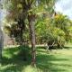 Chacara ravenala, Porto Seguro - Foto 4