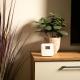 Apartamentos Lazos, Teruel (foto 7)