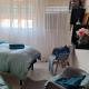 Any B&B, Massa Lombarda (photo 10)
