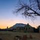 Tarriott eco lodge, ‘Izbat Mushandid al Kabīrah - 写真 3