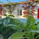 Quinta Castor, Vila Nova De Cacela (zdjęcie 7)