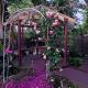 Love House, Auckland - Fotografie 1