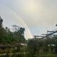 Jolits EcoGarden Hostel, Batuan (fotografie 7)