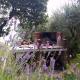 Tenuta di Venere, Portovenere (fotografie 7)