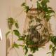 Flower house 102, Seoul - Photo 7