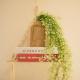 Flower house 102, Seoul - Photo 9