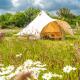 Poppy at Blancas Bell Tents Ringstead - Fotografie 1