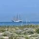 Lovely Versilia, Torre del Lago Puccini (fotografie 6)