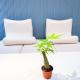Lovely Penthouse across City of Dreams, Airport, Manila - Fotografie 3