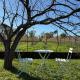 Ca de Otto - Giardino, Vigne, Forno e Stufa a Legna, Nicola (fotografie 9)