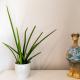 UBYTKO - Apartment in Blahová - Experience Rye Island, Blahová (fotografie 7)
