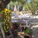 Villa Milla, Monacizzo (foto 5)