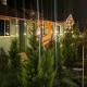 Coorg sunrise cottages, Kushalnagar - Fotografie 10