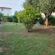 Orthilippa Giardino, Orosei (fotografie 4)