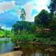 Sinharaja Eco Lodge, Nelluwa (foto 2)