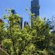 Renovated 3 bedroom, 2 bathroom apartment, Melbourne (Foto 6)
