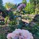 Rose house, Auckland - Fotografie 6