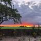 Country View place, Weeley (fotografie 9)