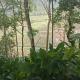 Misty Paradise, Vagamon - Fotografie 6