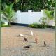 Radheyam, Alleppey - Foto 1