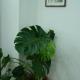 A Me Casa, Palermo - Foto 5