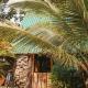 Rustic Cabin in Pavones surf brake - Foto 3