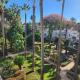 LAALCAZABA Garden Marbella - Photo 1