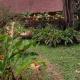 Tambopata Research Center, Tambopata - 写真 3