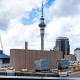 Tree-Lined Studio on High Level with Skytower View, Окленд - Фото 4