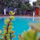Palm Estate, Edenvale (Foto 4)
