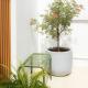 Peaceful Townhouse in Sathorn Near Saint Louis BTS, Yan Nawa (foto 10)