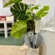 Cozy City Nest, Vienne - Photo 5