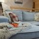 Apartamenty Kuźnice 13, Zakopane - Photo 8