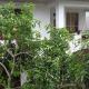 Villa Sasindu, Koggala (Foto 9)