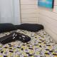 Quarto ingleses para casal, Florianópolis - Foto 10